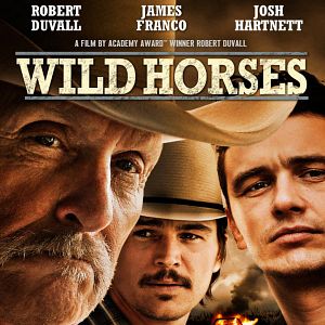 Foto Caballos salvajes