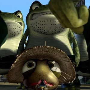 Foto El reino de las ranas