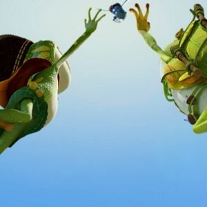 Foto El reino de las ranas