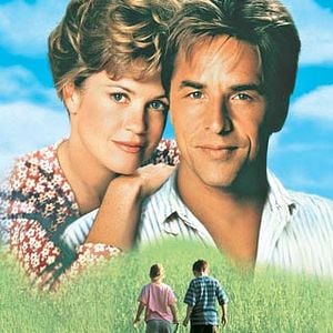 Foto Un lugar llamado paraíso