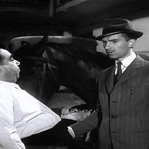 Foto El último caballo