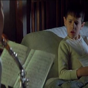 Foto La lengua de las mariposas