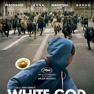 Foto White God