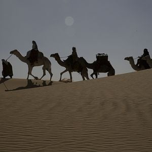 Foto La reina del desierto