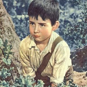 Foto Alerta en el cielo