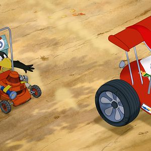 Foto Cuervito Calcetín: La gran carrera