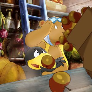 Foto Cuervito Calcetín: La gran carrera