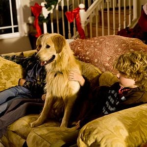 Foto A Christmas Wedding Tail