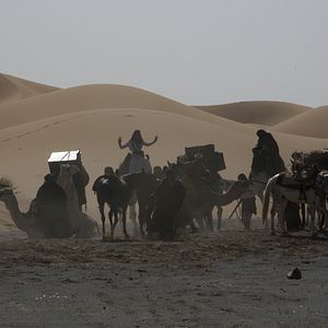 Foto La reina del desierto
