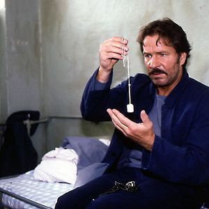 Foto La cortina de humo