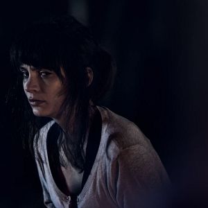 Foto Lemon Tree Passage