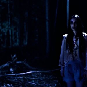 Foto Lemon Tree Passage