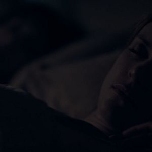 Foto Lemon Tree Passage