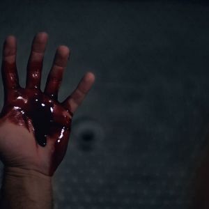 Foto Lemon Tree Passage