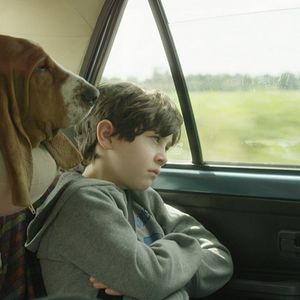 Foto Las sillas musicales