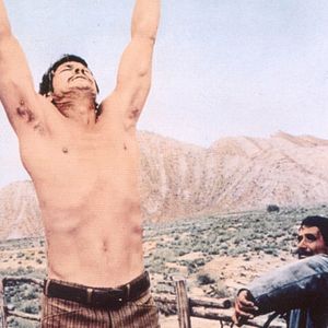 Foto Caballos salvajes