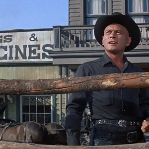 Foto Caballos salvajes