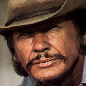 Foto Caballos salvajes