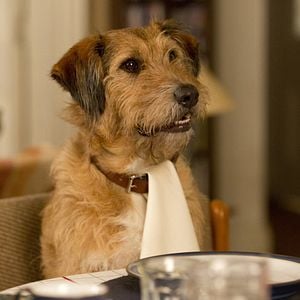 Foto Absolutamente todo