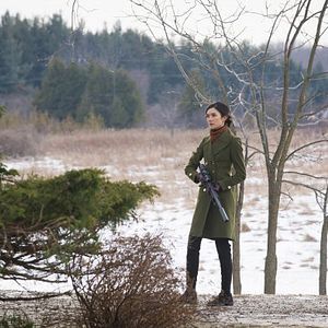 Foto Caroline Dhavernas