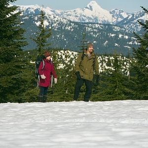 Foto Catástrofe helada