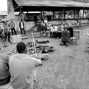 Foto Palmeras en la nieve