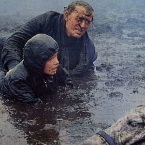 Foto Salvaje y libre