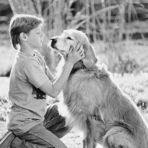 Foto De vuelta a casa. Un viaje increíble