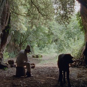 Foto Bella y perdida