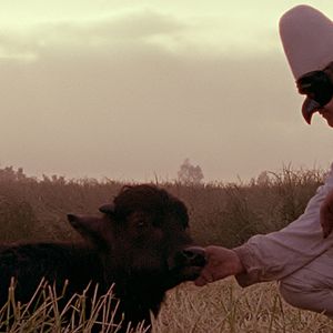 Foto Bella y perdida