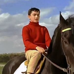 Foto El Secreto de Tomy