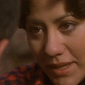 Foto Las verdes praderas