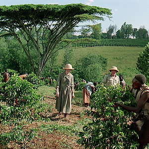 Foto Memorias de África