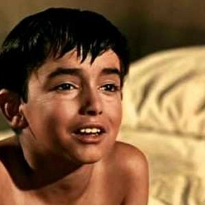 Foto El Pequeño ruisenor