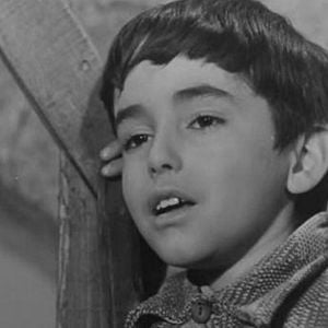 Foto El Pequeño ruisenor