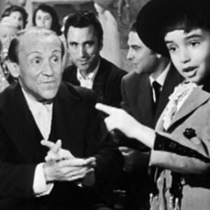 Foto El Pequeño ruisenor