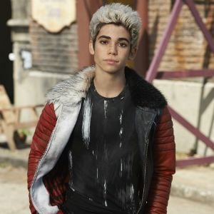 Foto Los descendientes