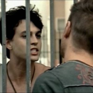 Foto Llamas de la vida