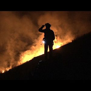 Foto La vida en llamas