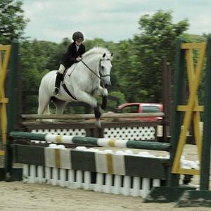 Foto Un caballo regalado