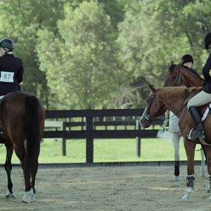 Foto Un caballo regalado