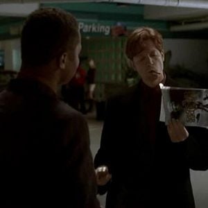 Foto Nido de cuervos