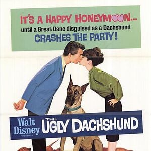 Foto Los perros de mi mujer