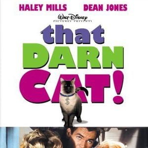 Foto Un gato del F.B.I.