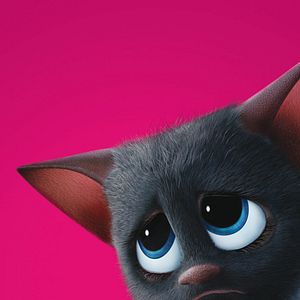 Foto Hotel Transilvania 2