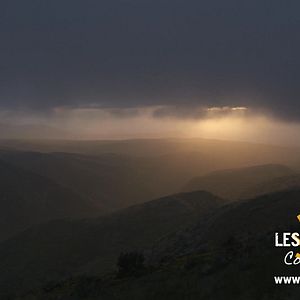 Foto ¡Buen Camino! Seis peregrinos, un destino
