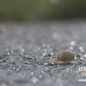 Foto ¡Buen Camino! Seis peregrinos, un destino