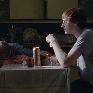 Foto Sparrows (Gorriones)