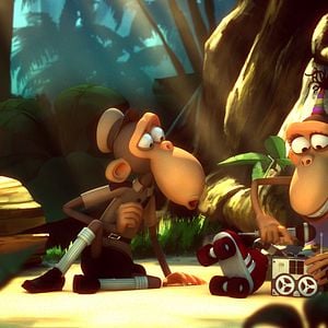 Foto Marco Macaco y los primates del Caribe