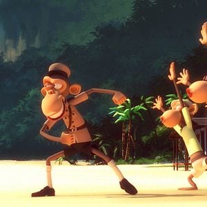 Foto Marco Macaco y los primates del Caribe